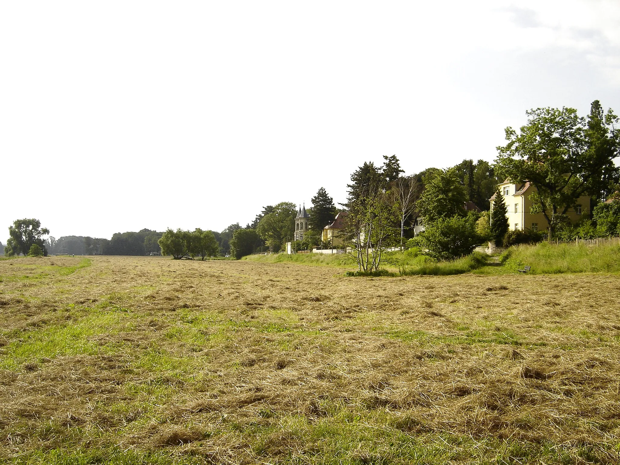 Elbe Meadows