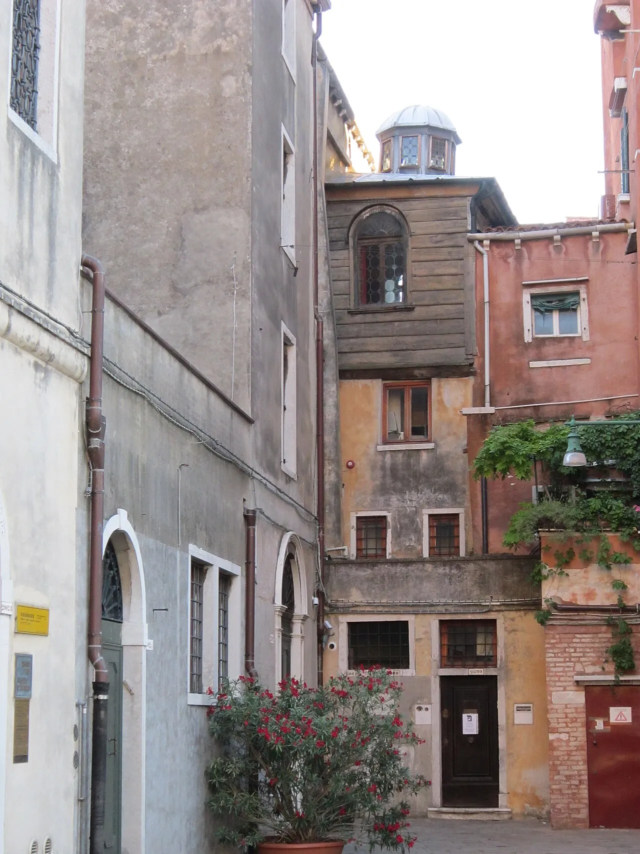 Scola Canton