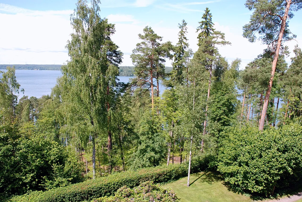Hvitträsk