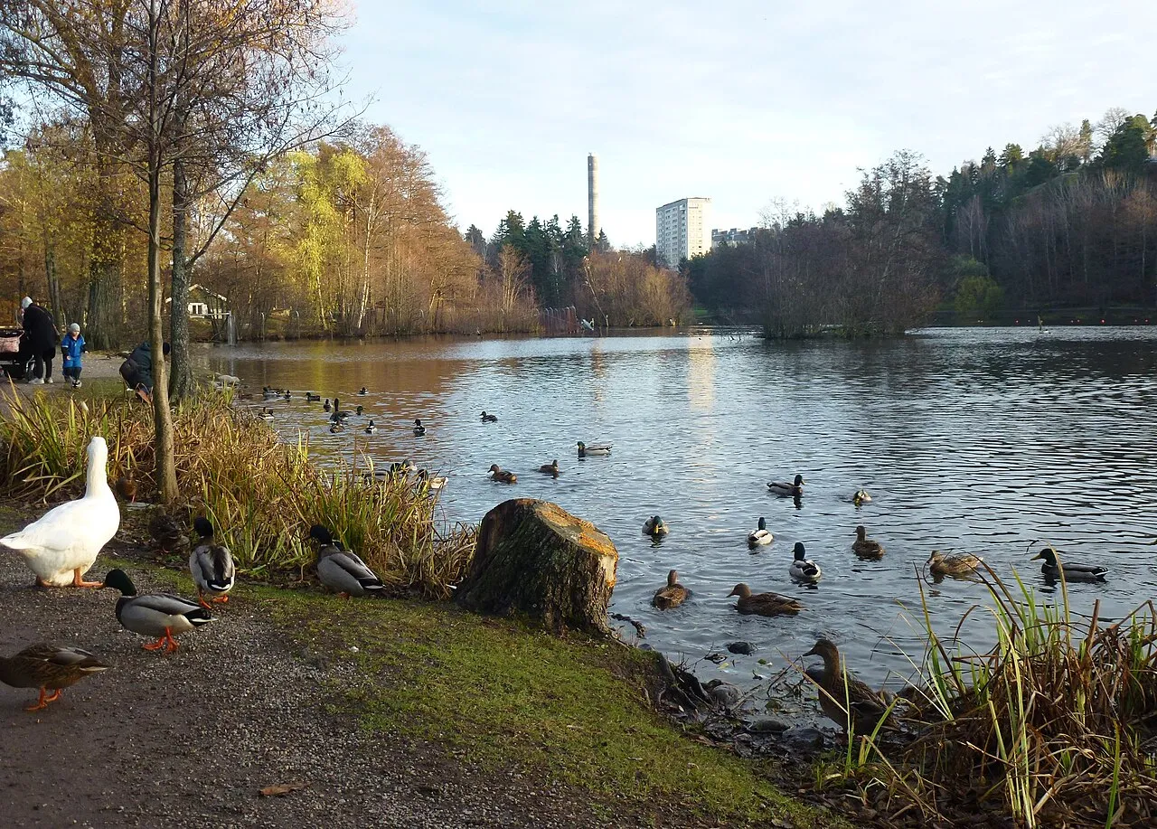 Lötsjön