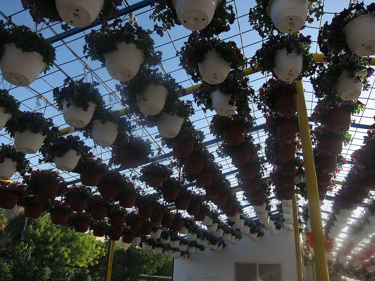 Dubai Miracle Garden