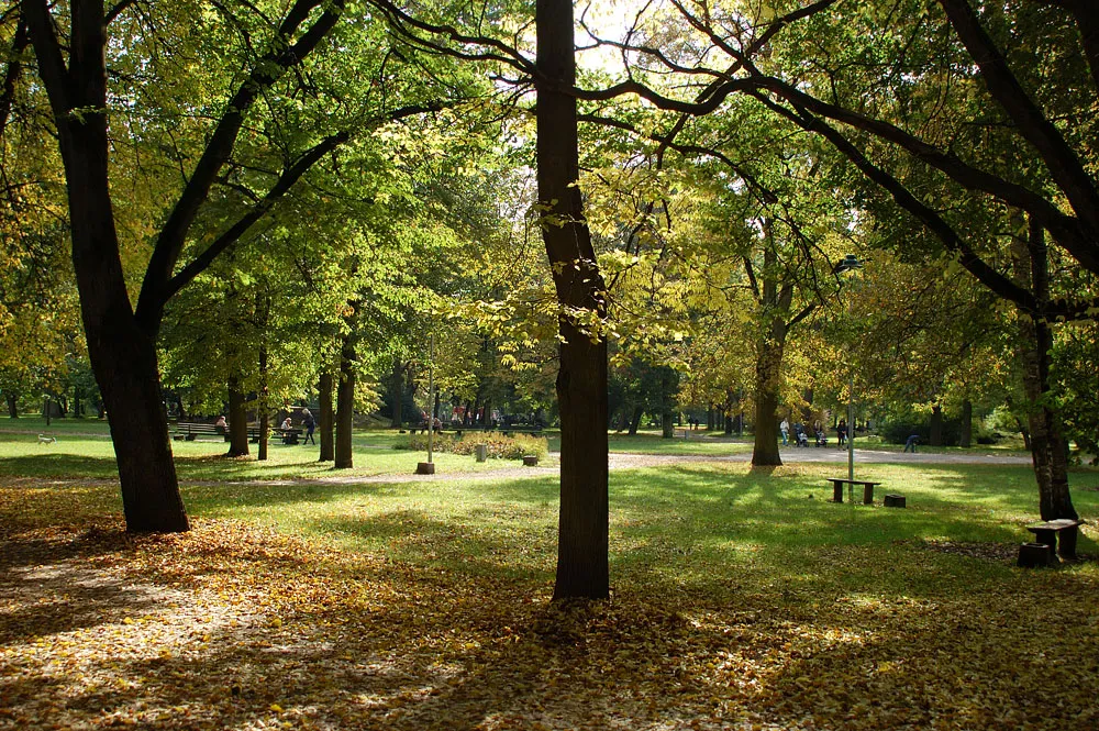 Bernardine Garden