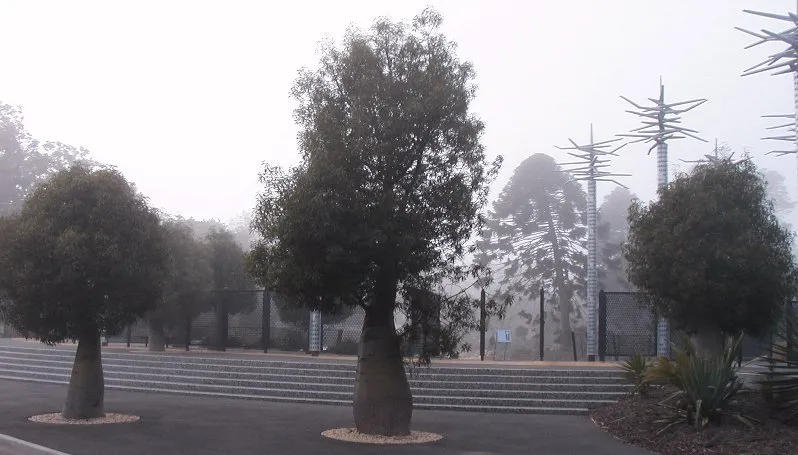 Geelong Botanic Gardens