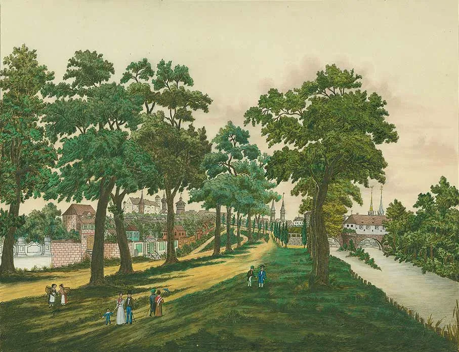 Haller Meadow