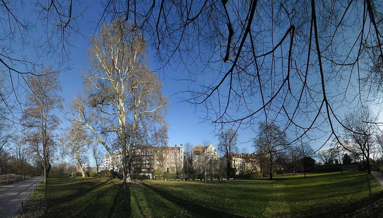 Haller Meadow