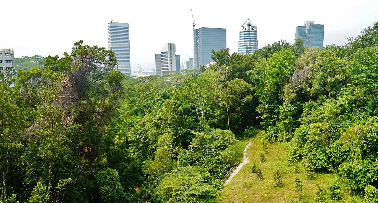 Southern Ridges