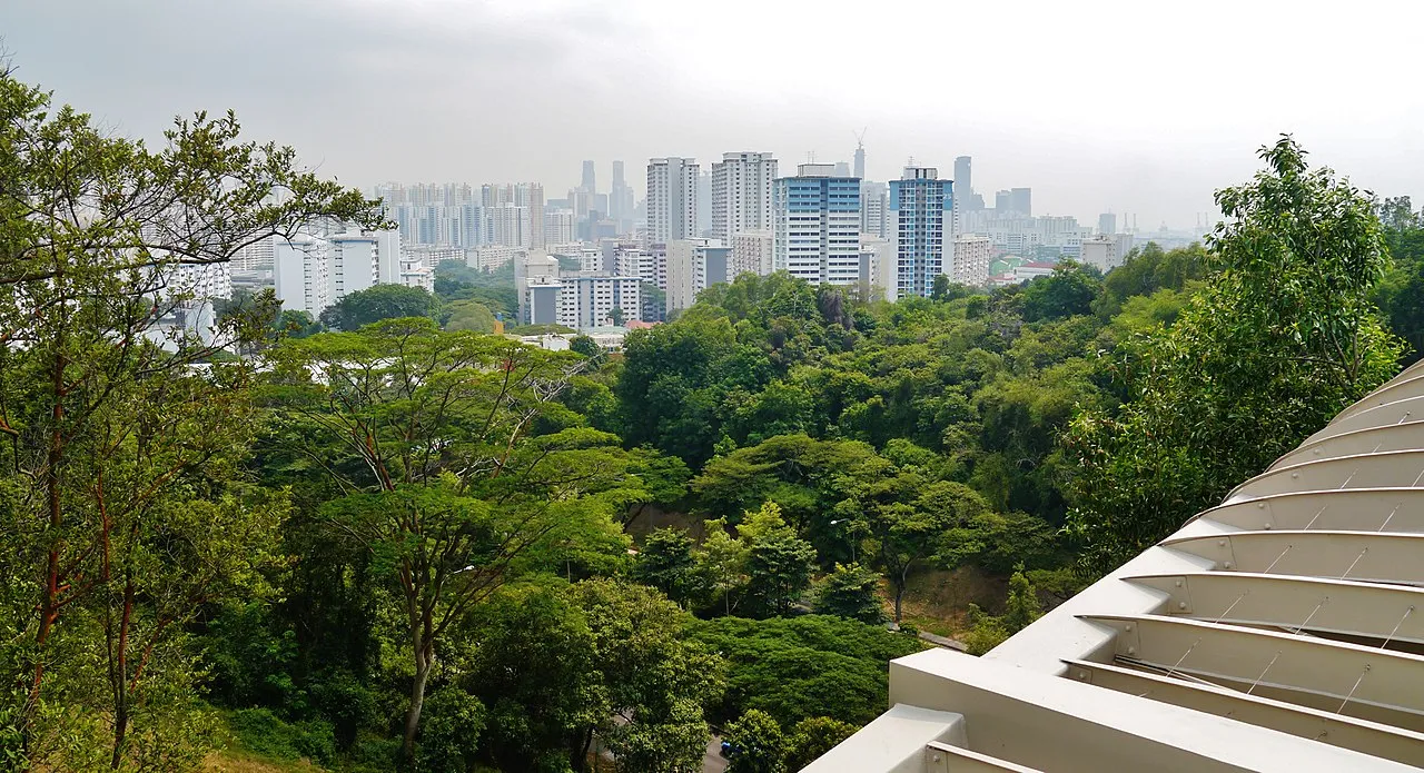 Southern Ridges