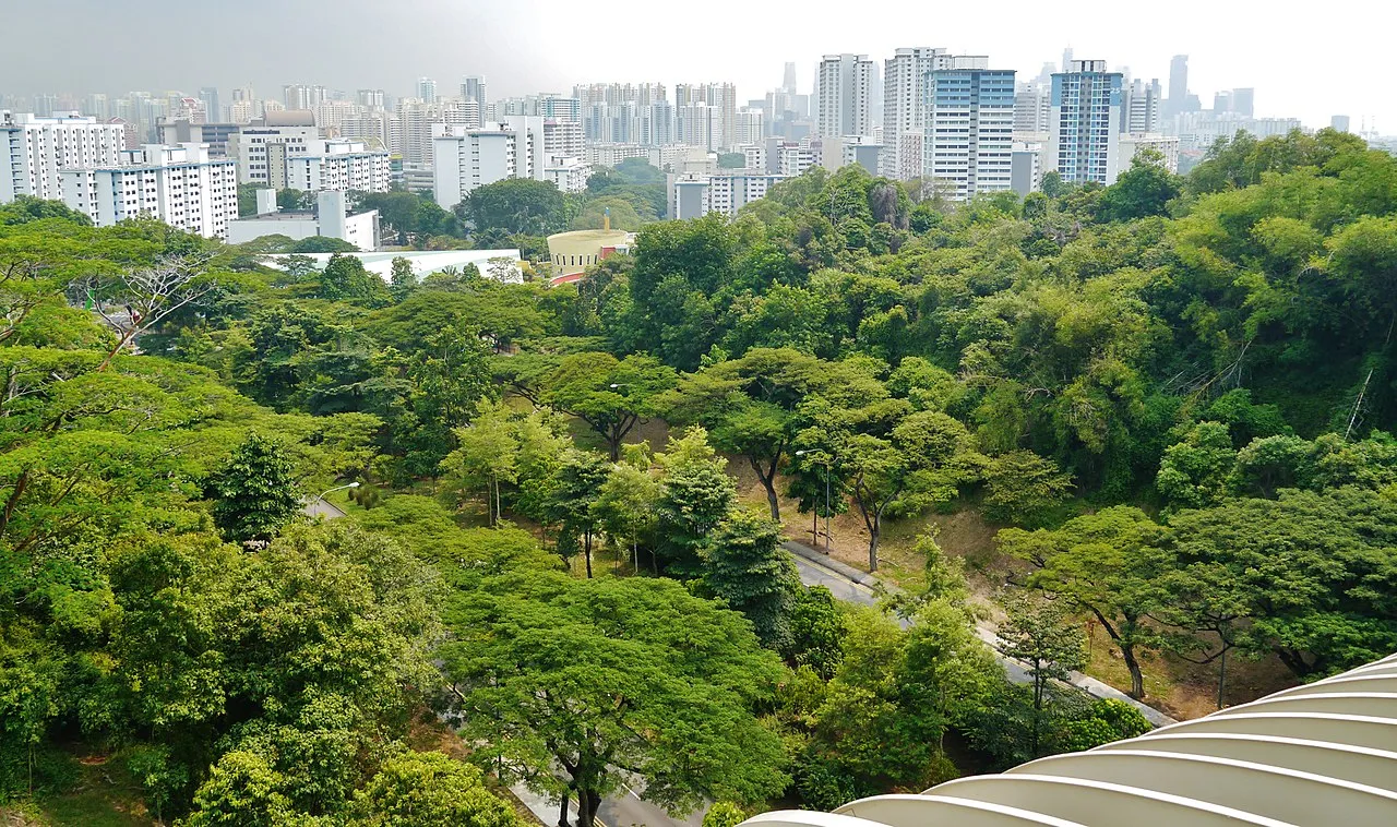 Southern Ridges