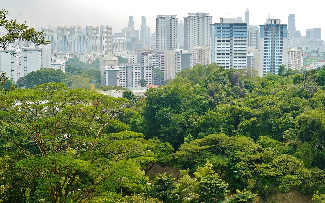 Southern Ridges