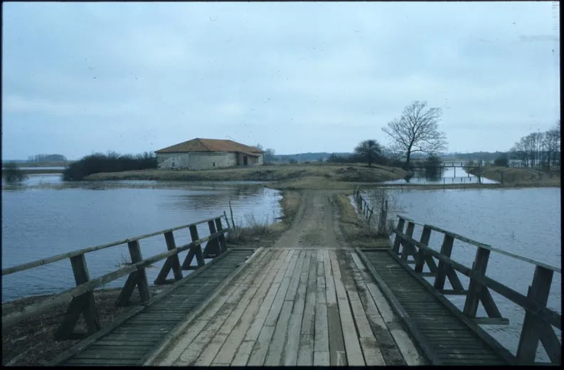 Lillö borgruin