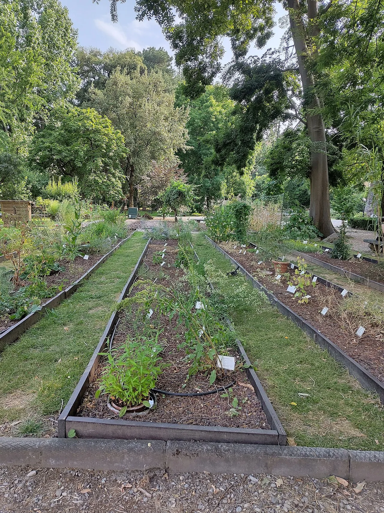 Botanical Garden