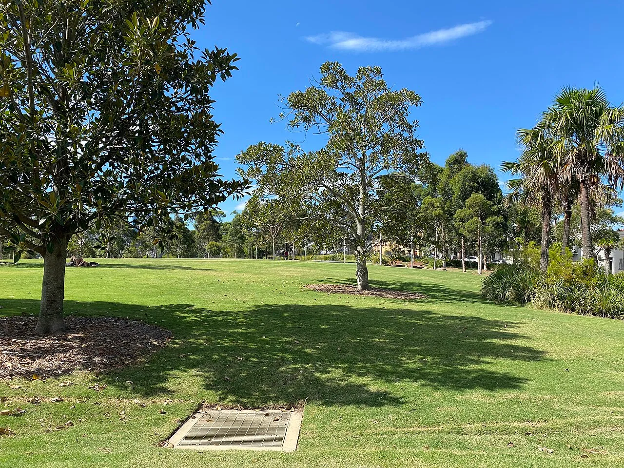 Barangaroo Reserve