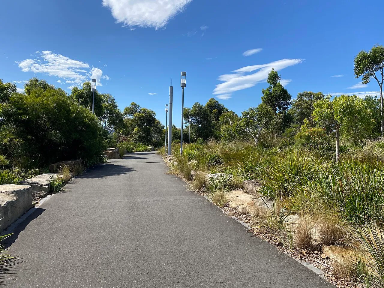 Barangaroo Reserve