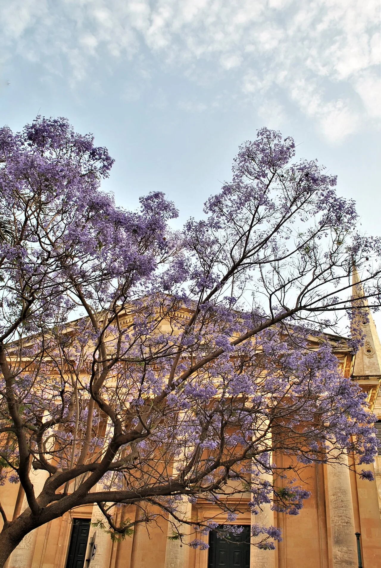 St. Paul's Anglican Pro-Cathedral