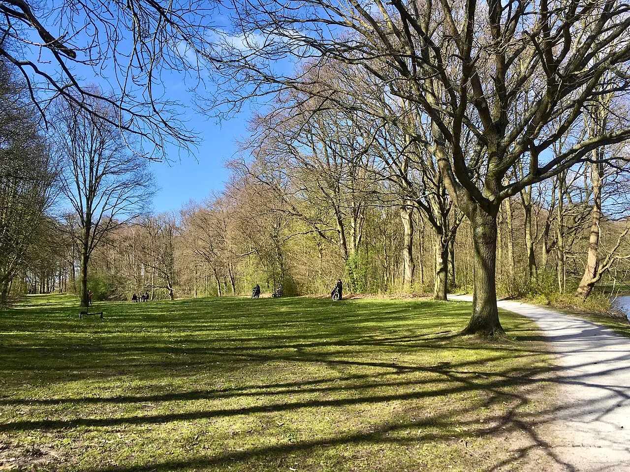 The Hague Forest
