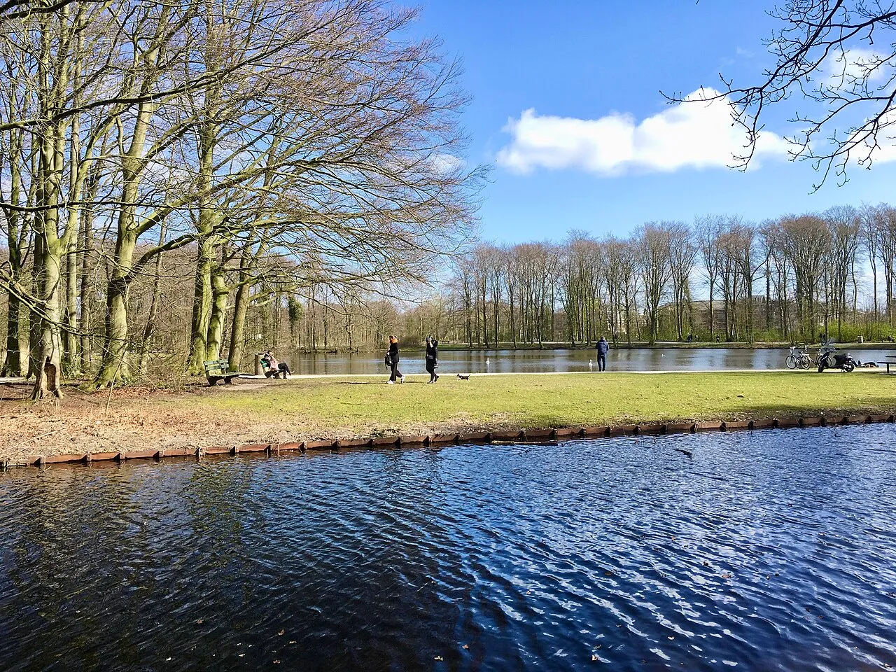 The Hague Forest