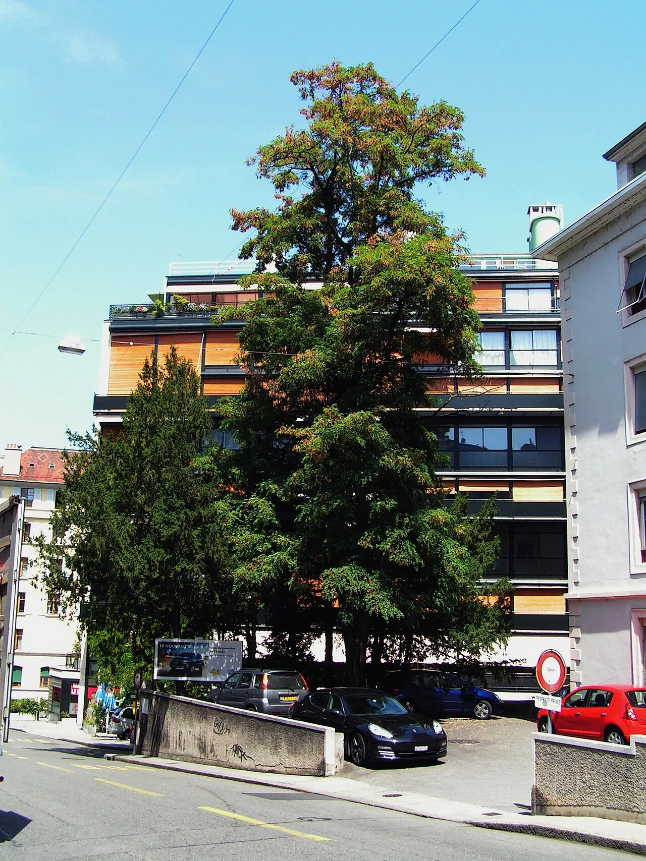 Immeuble Clarté