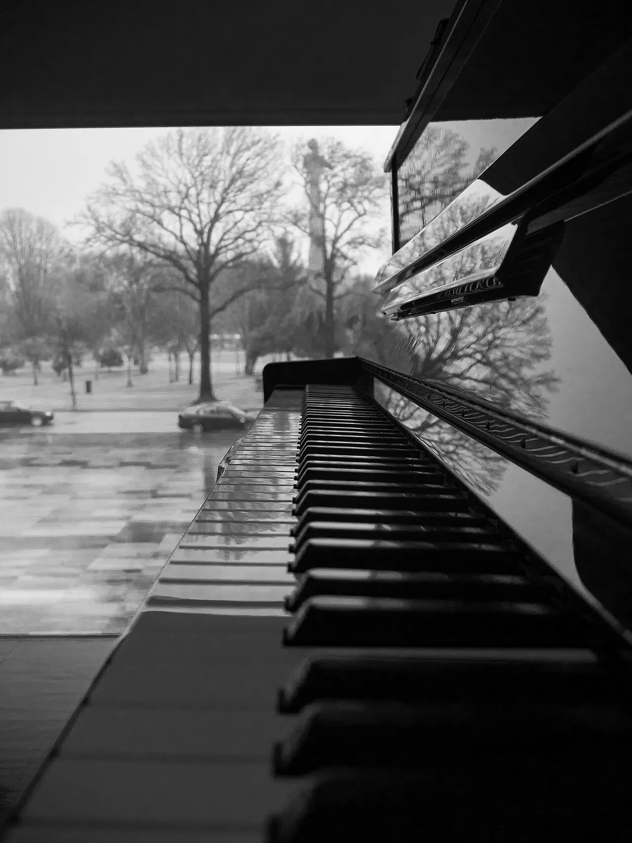 House of Music