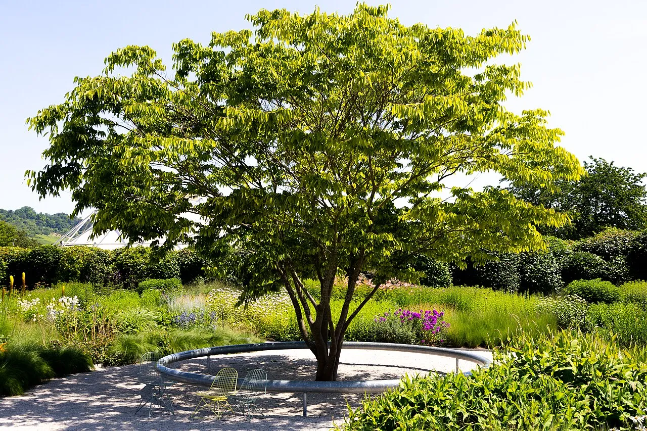 Oudolf Garten