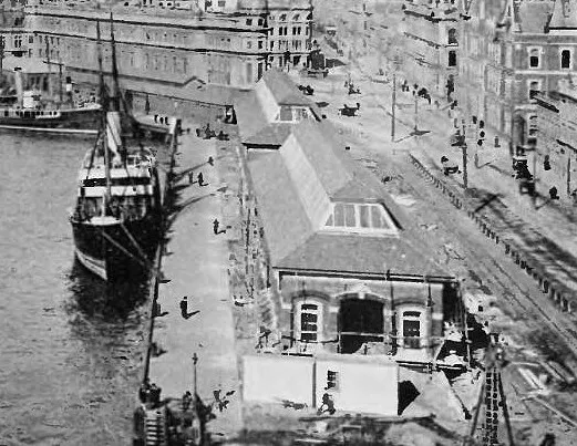 Shed 11