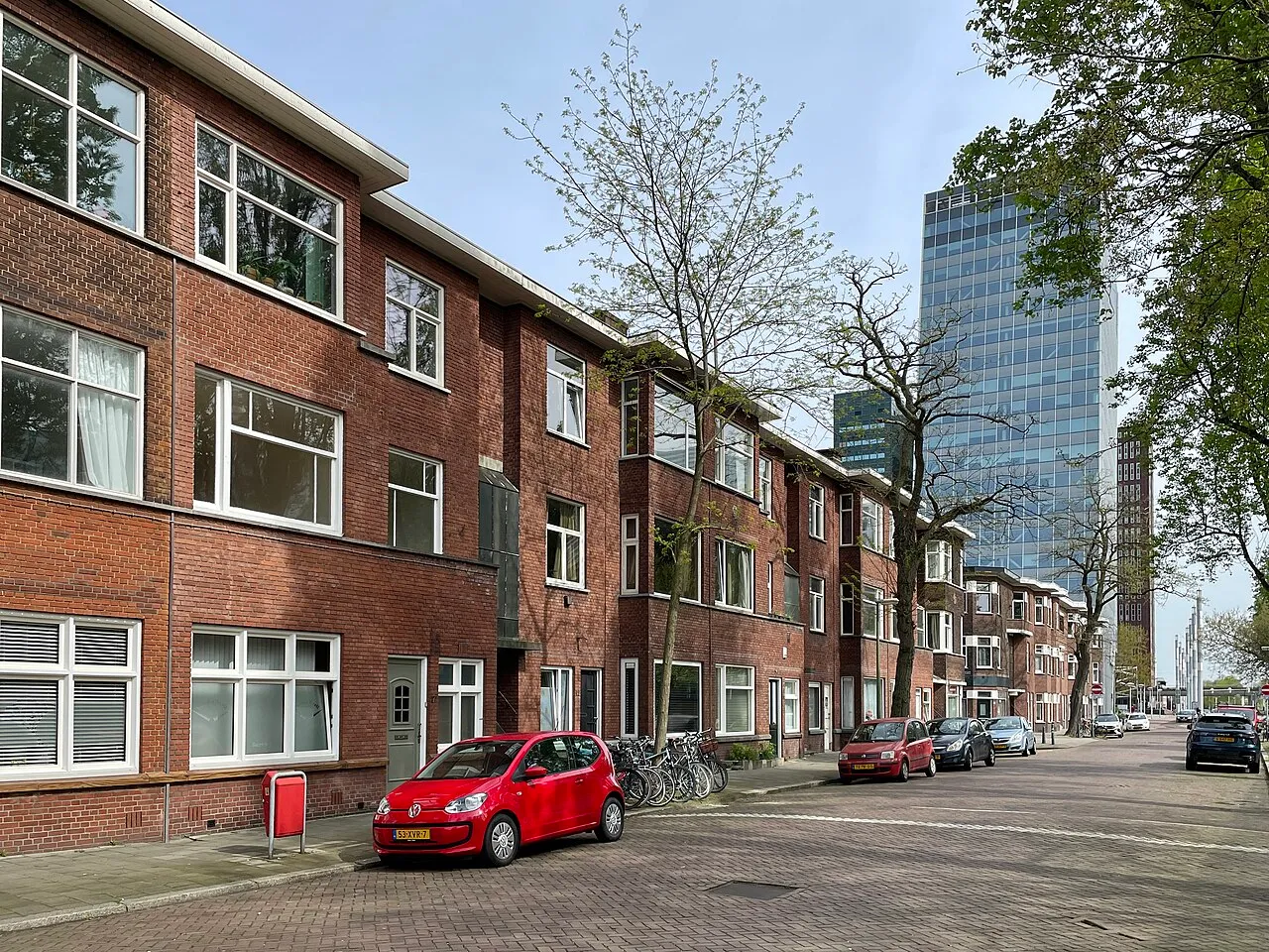 The Hague Swan