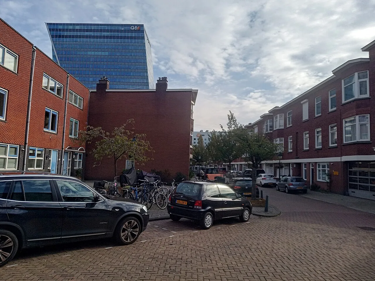 The Hague Swan