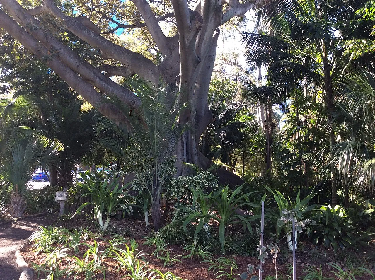 Supreme Court Gardens