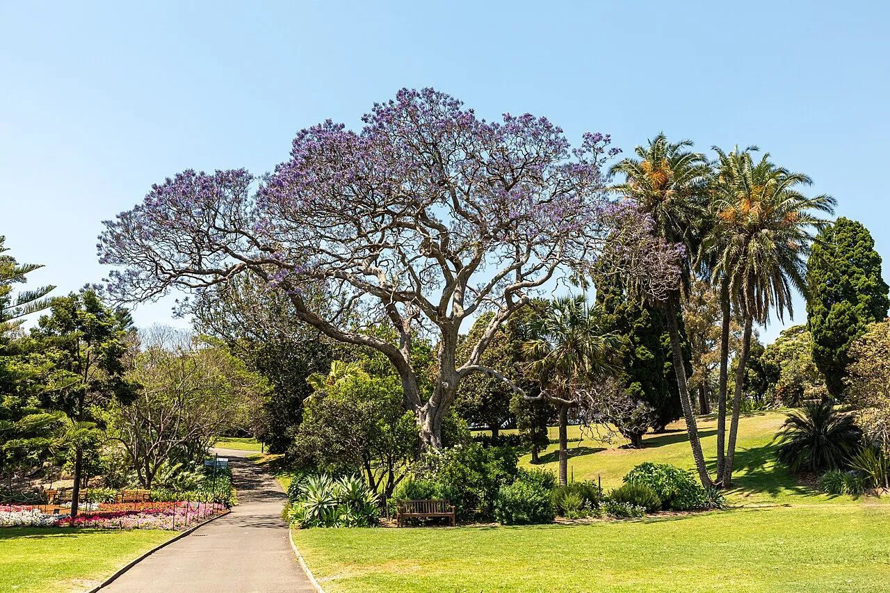 Royal Botanic Garden