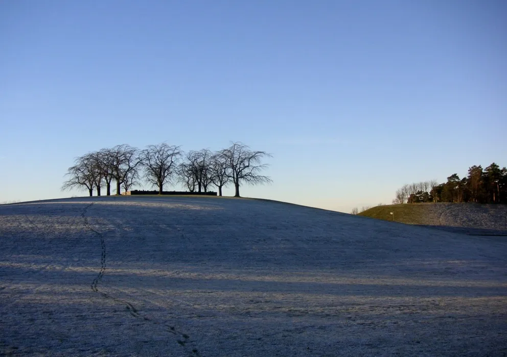 Almhöjden