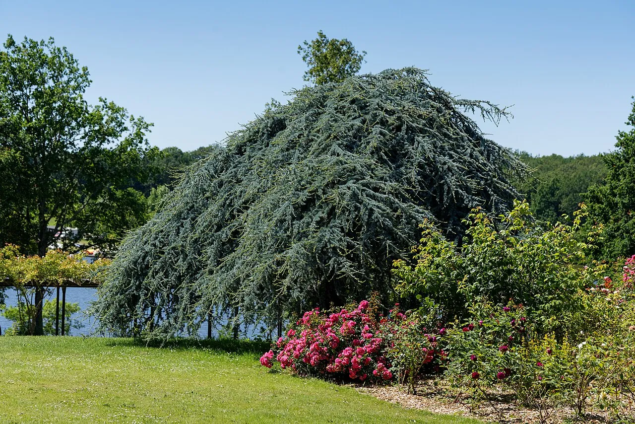 Parc Floral de la Beaujoire