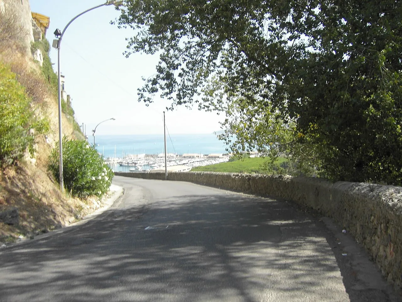 Tropea