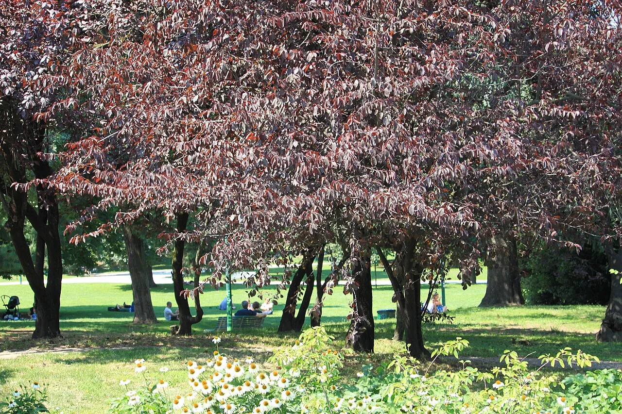 Parco Sempione