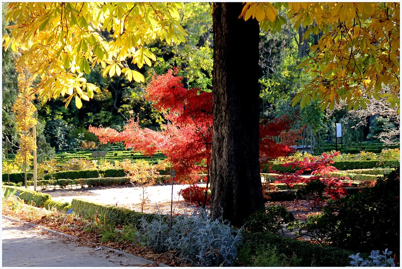 Royal Botanical Garden