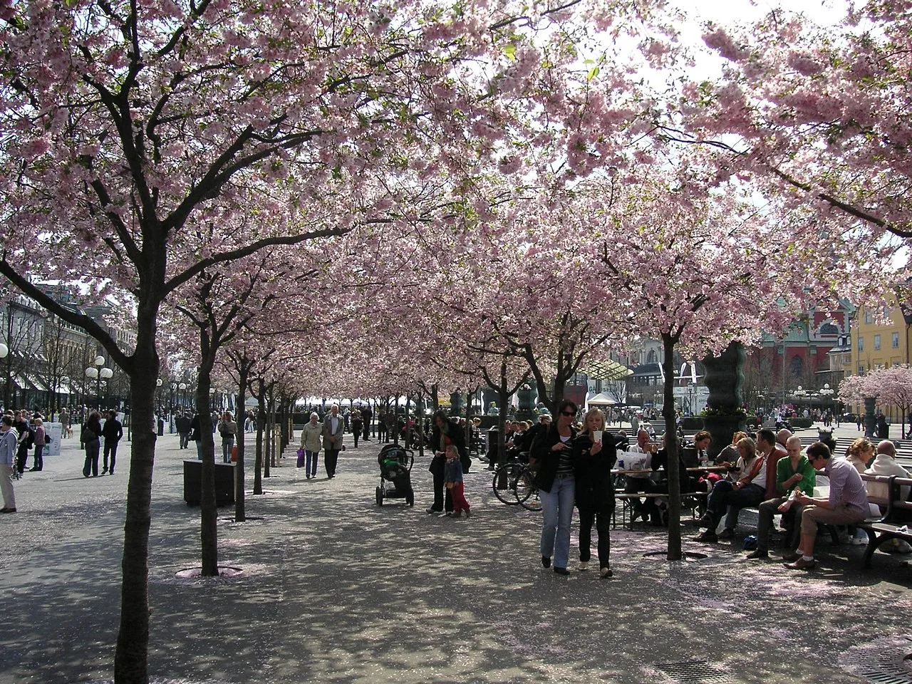 The King's Garden