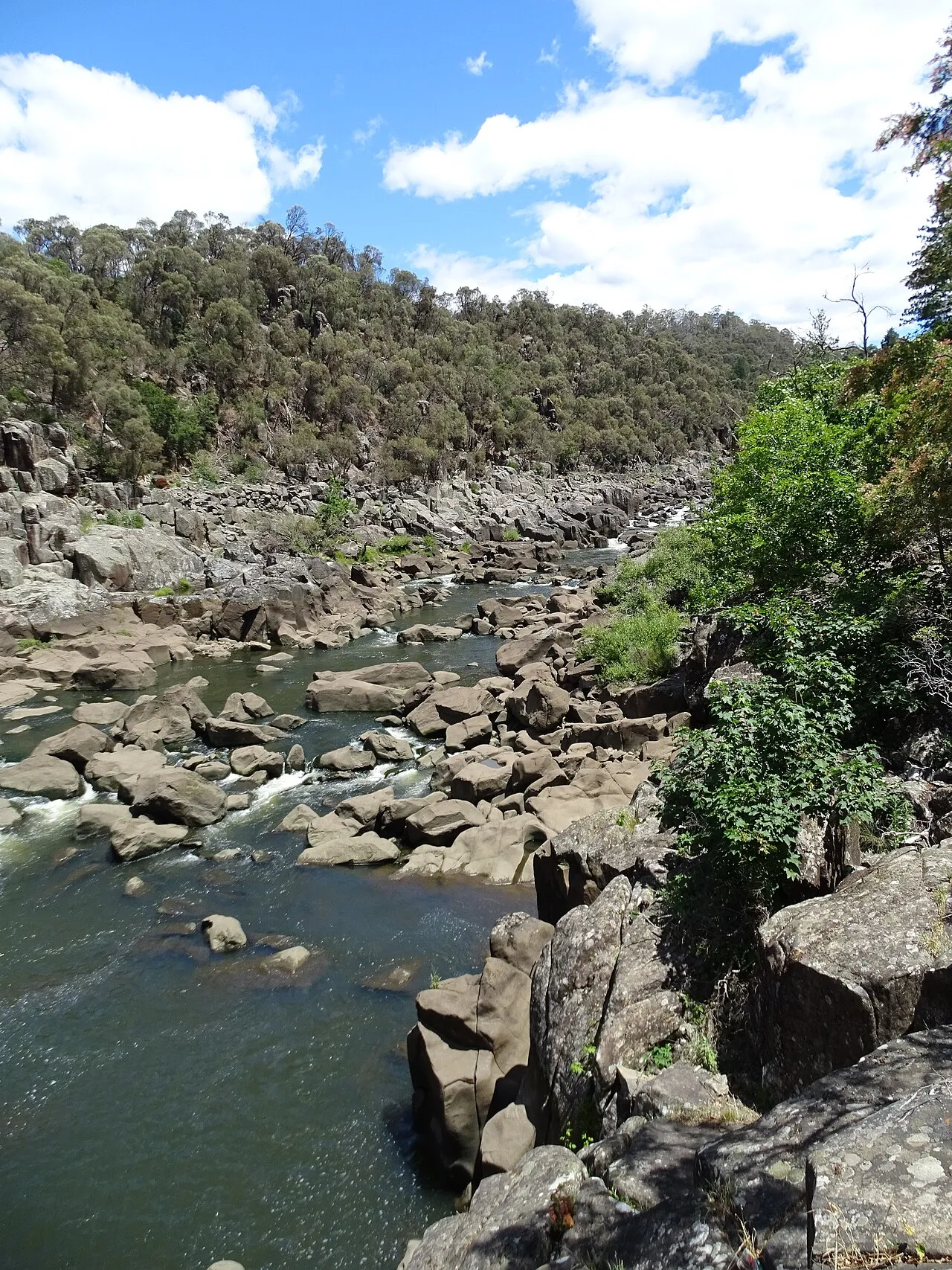 Cataract Gorge Reserve