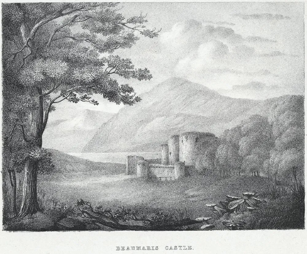 Castell Biwmares