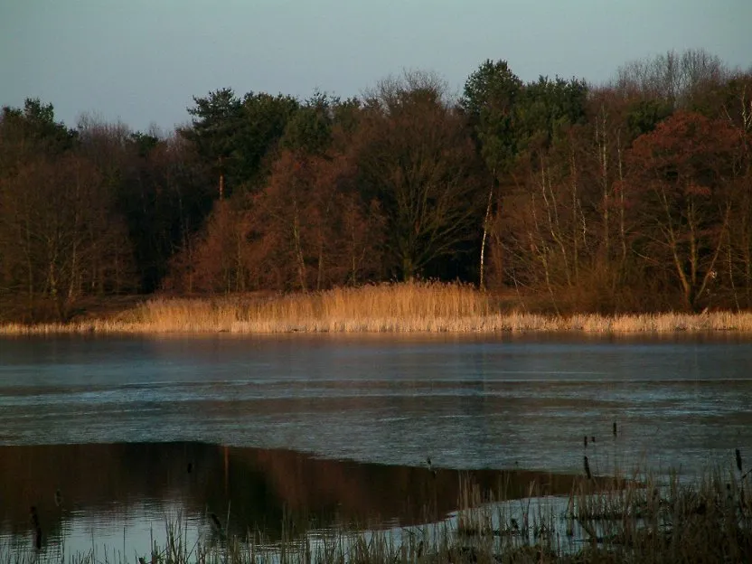 Karpendonkse Plas