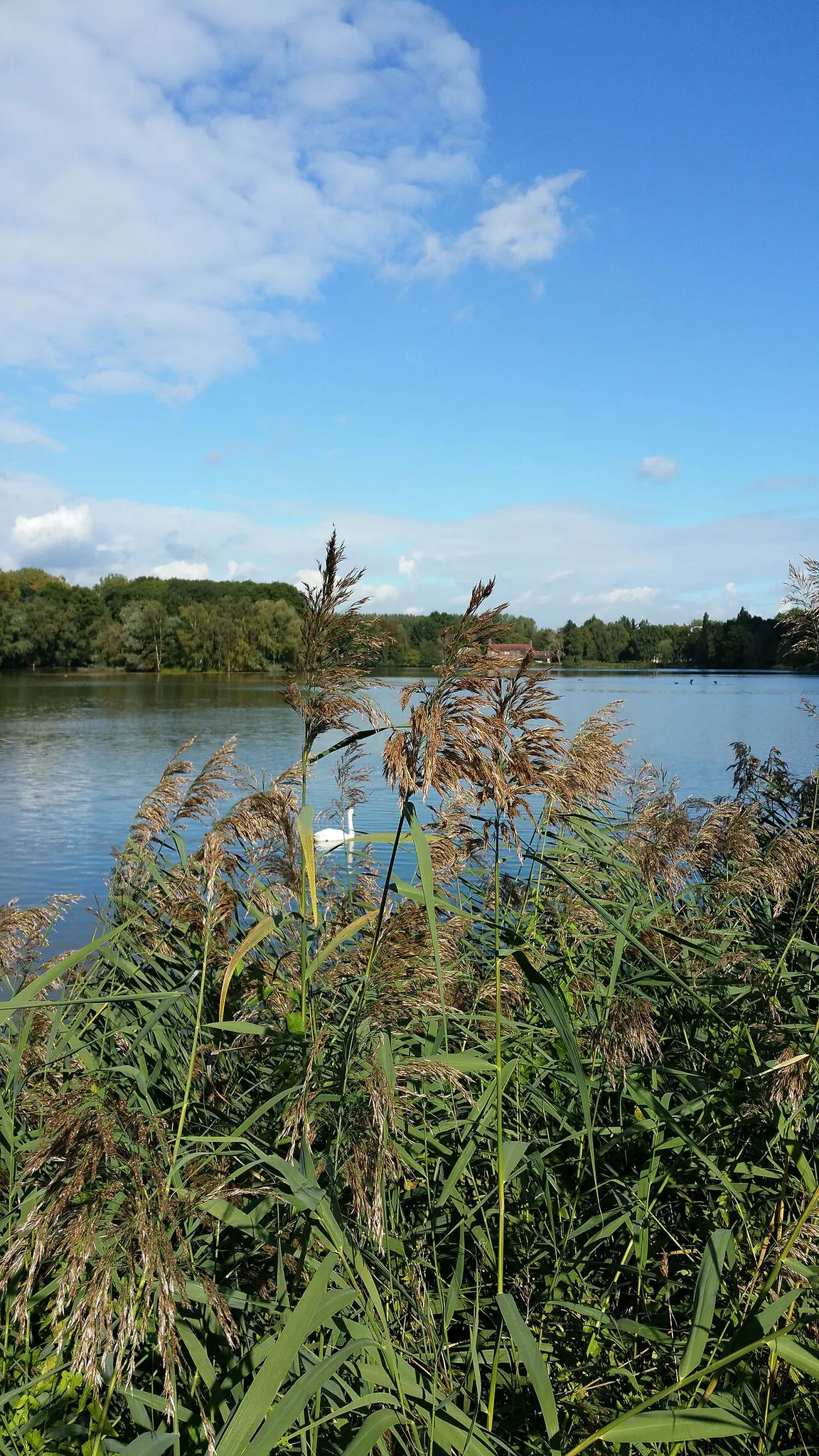 Karpendonkse Plas