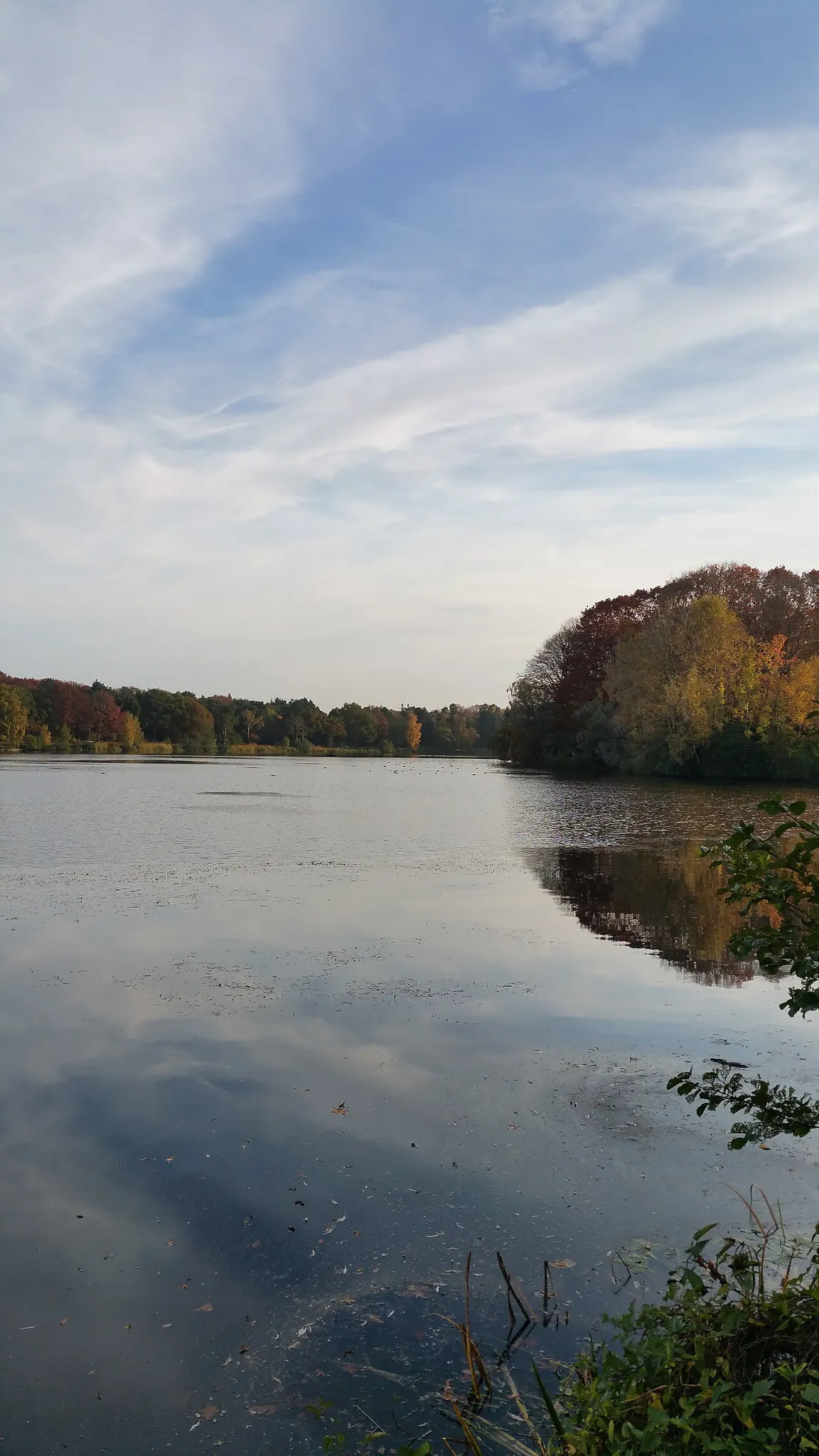 Karpendonkse Plas