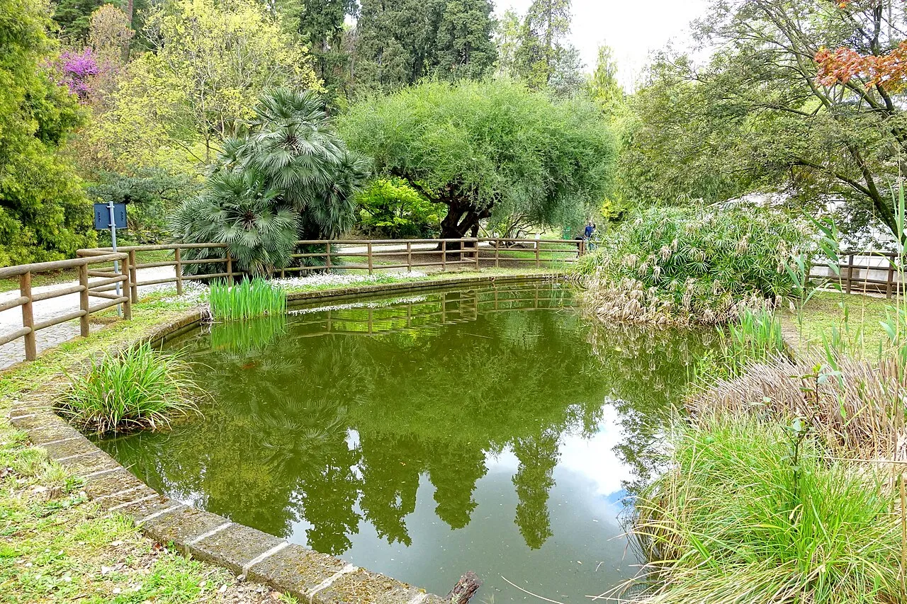 Orto Botanico di Roma