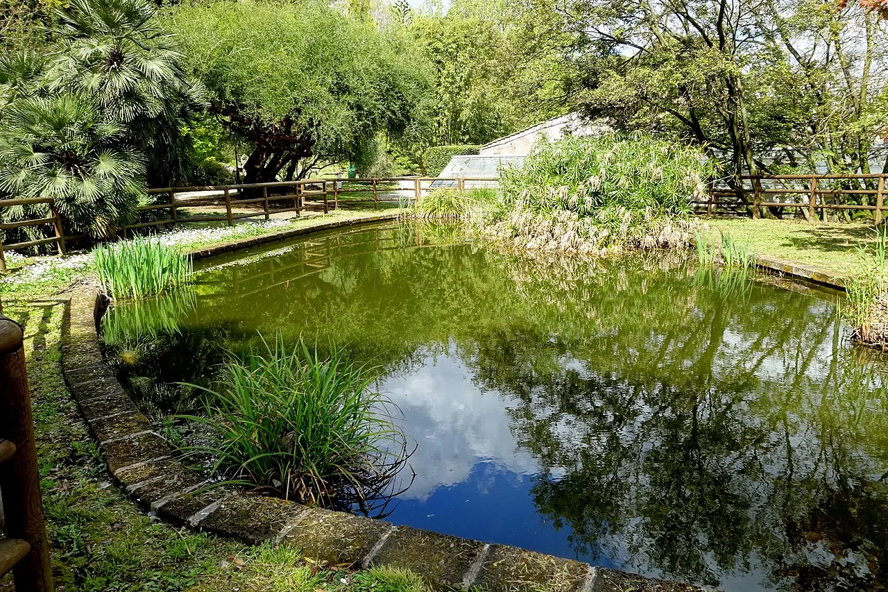 Orto Botanico di Roma