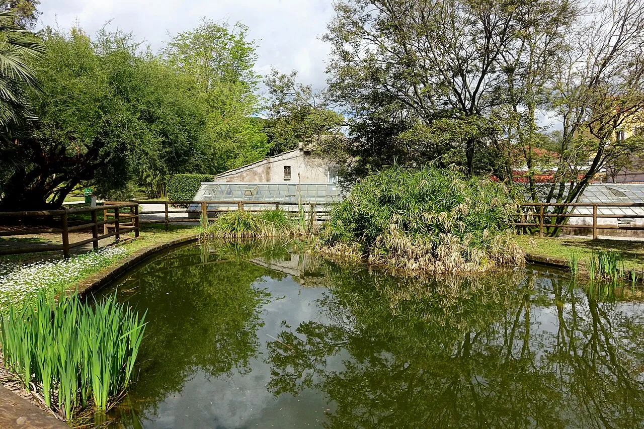 Orto Botanico di Roma