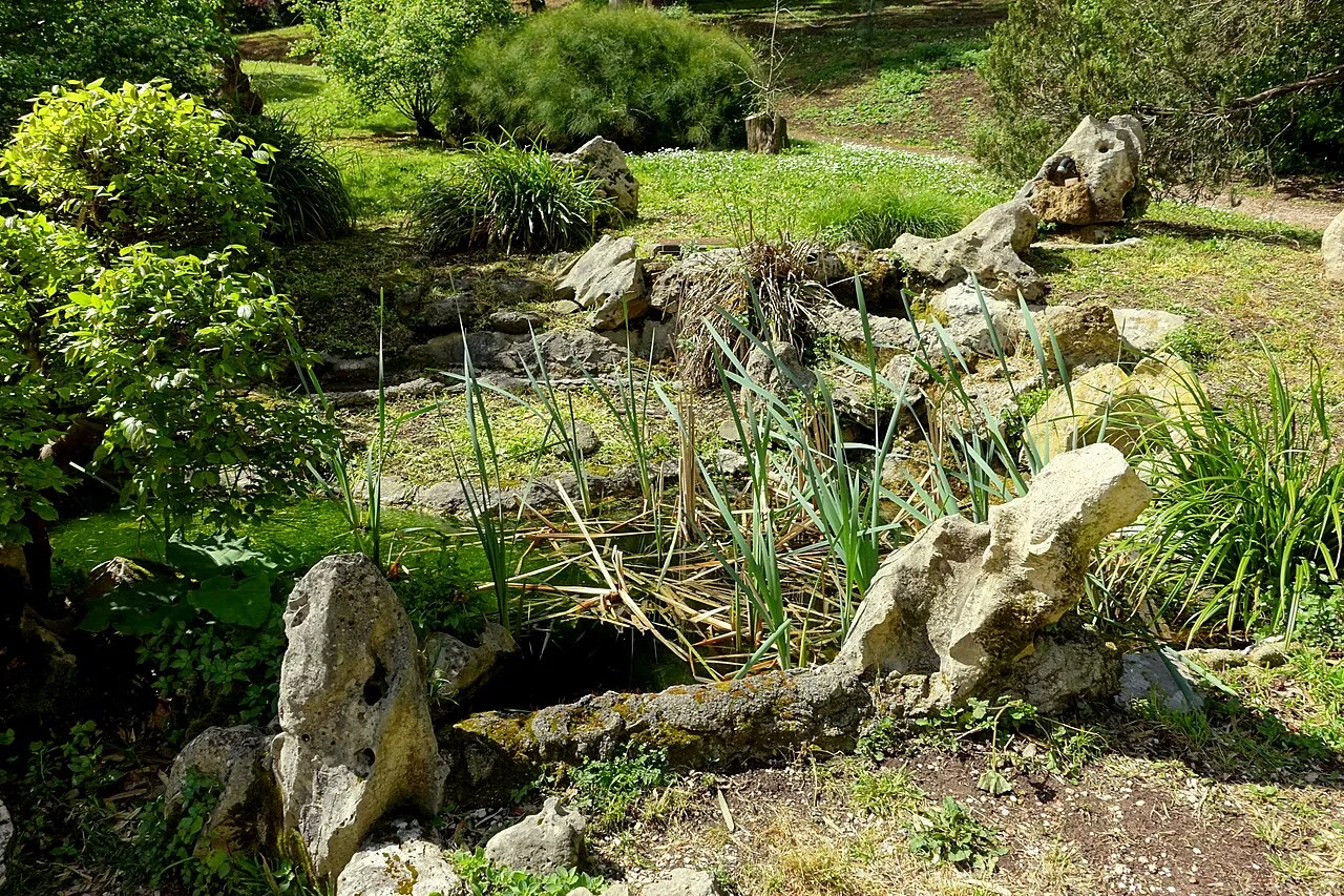 Orto Botanico di Roma