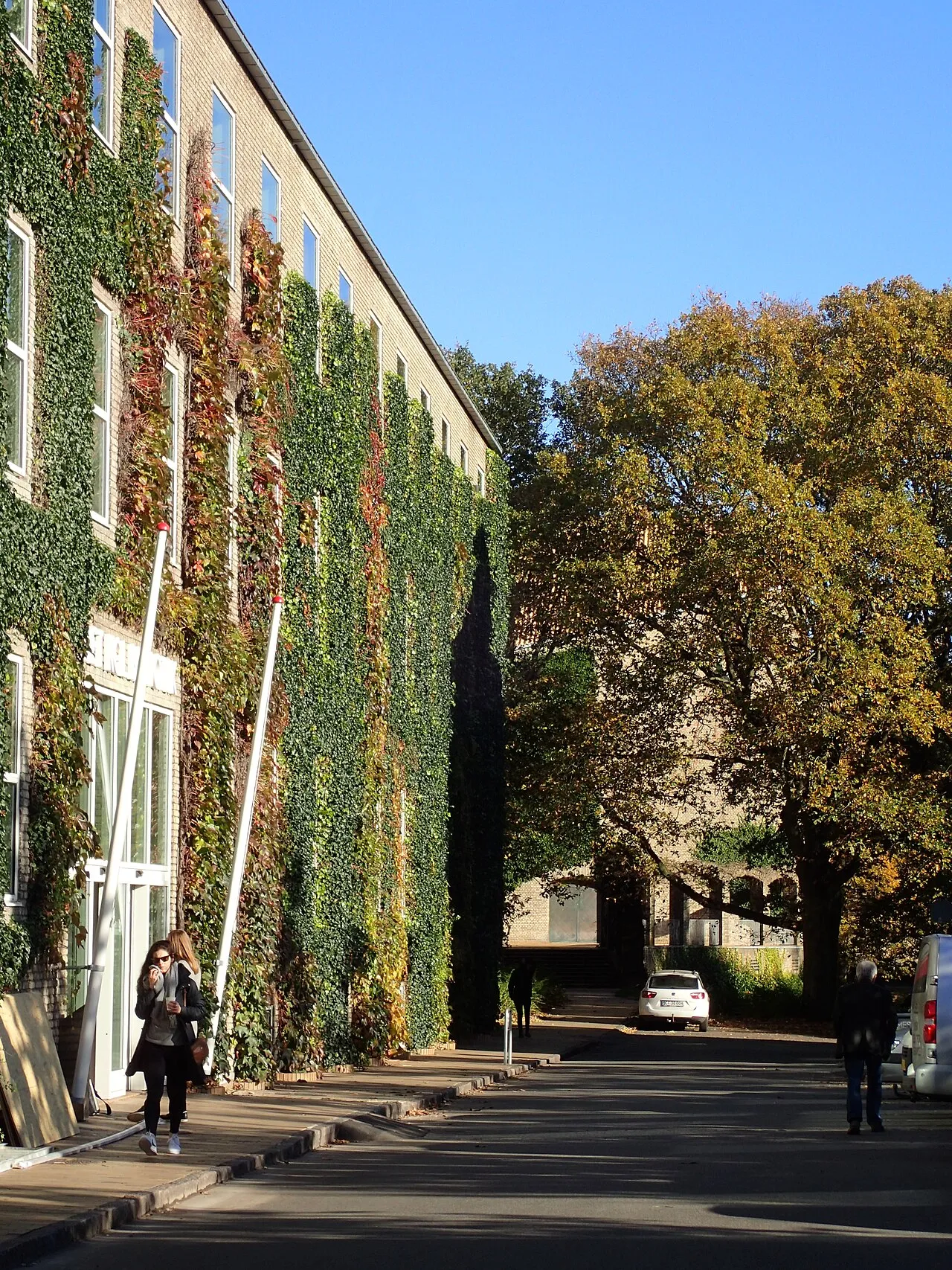 State and University Library