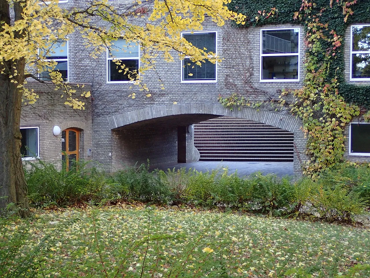 State and University Library
