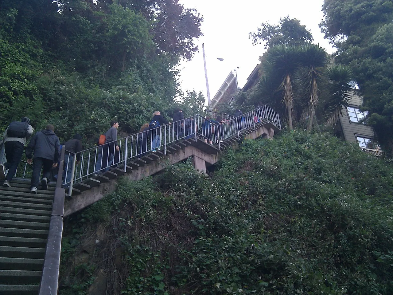 Filbert Steps