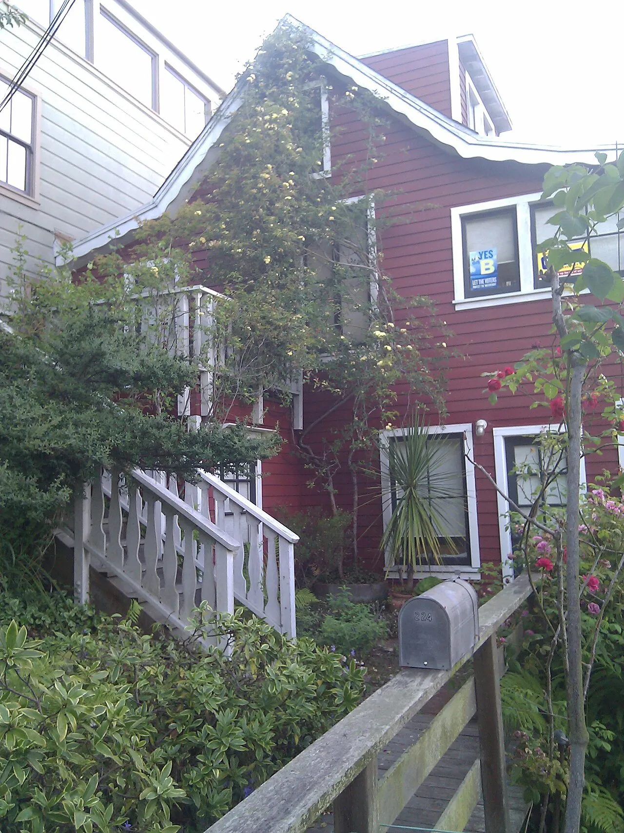Filbert Steps