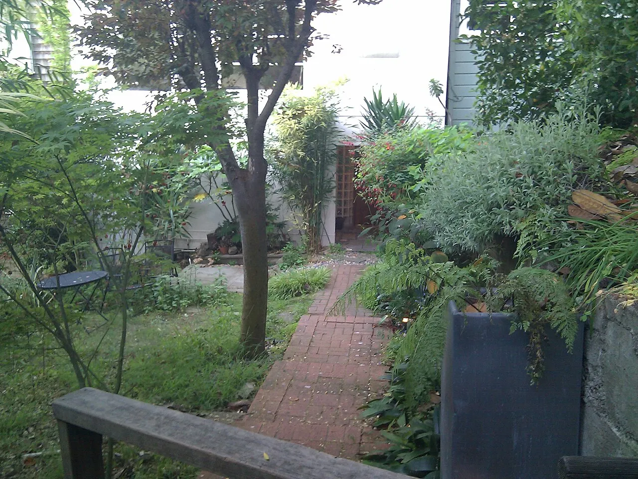 Filbert Steps