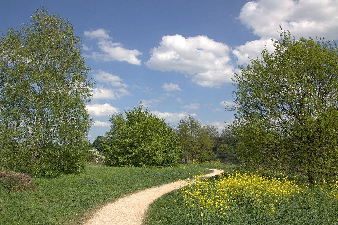 Grift Park