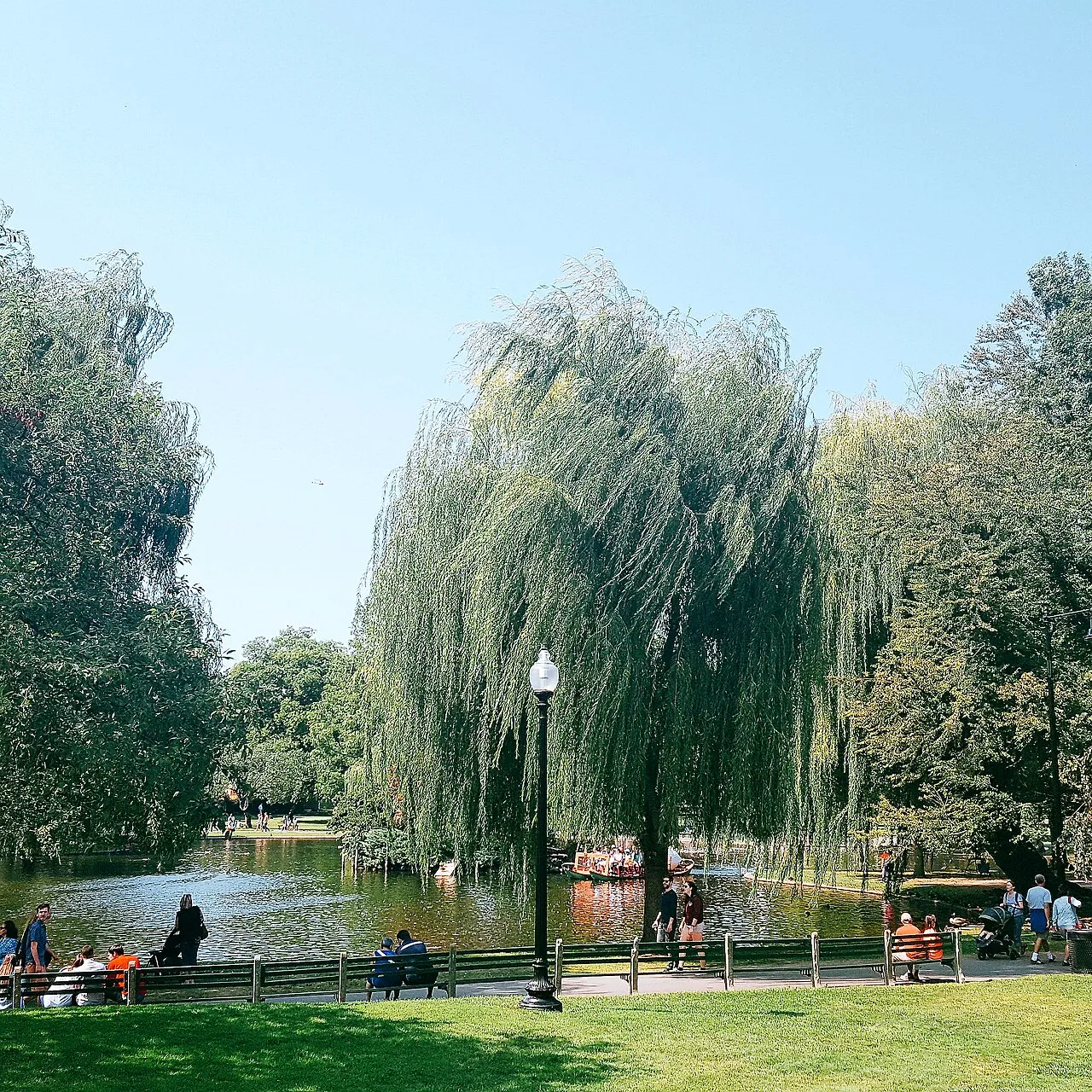 Public Garden